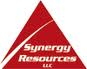 Synergy Logo